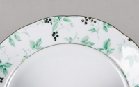 Набор тарелок (зеленый) столовых 6шт Leander 25см Мэри-Энн 31210